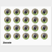 Geitenmeling Ronde Sticker (Vel)