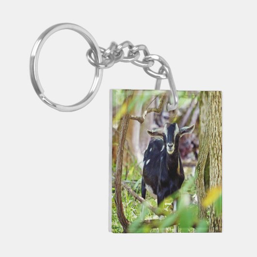 Geitenmeling Sleutelhanger (Voorkant Links)