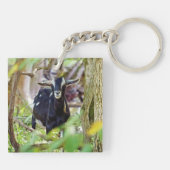 Geitenmeling Sleutelhanger (Achterkant)