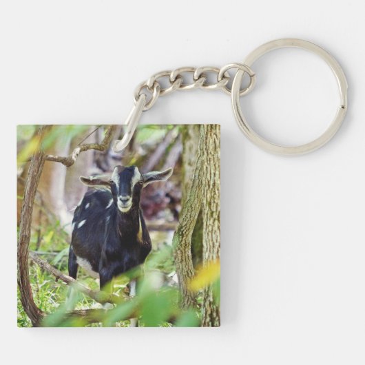 Geitenmeling Sleutelhanger (Achterkant)