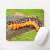 Geitenmot Caterstone Mouse Mat Muismat (Met muis)