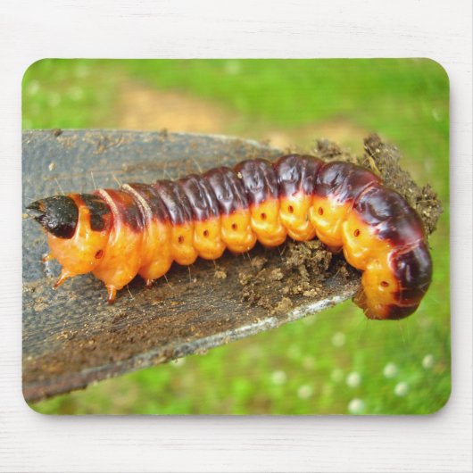 Geitenmot Caterstone Mouse Mat Muismat (Voorkant)