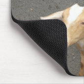 Geitenpad Muismat (Hoek)