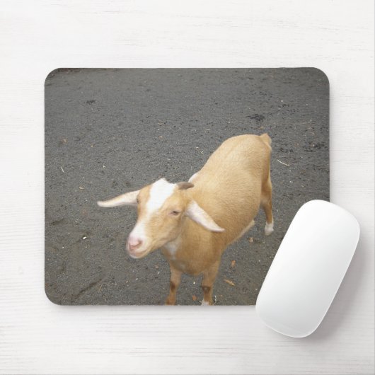 Geitenpad Muismat (Met muis)