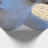 Geitenpakpapier Cadeaupapier (Hoek)