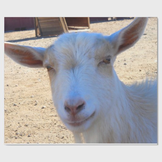 Geitenpakpapier Cadeaupapier (Vlak)