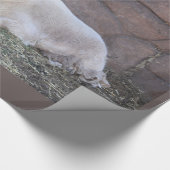 Geitenpakpapier Cadeaupapier (Hoek)