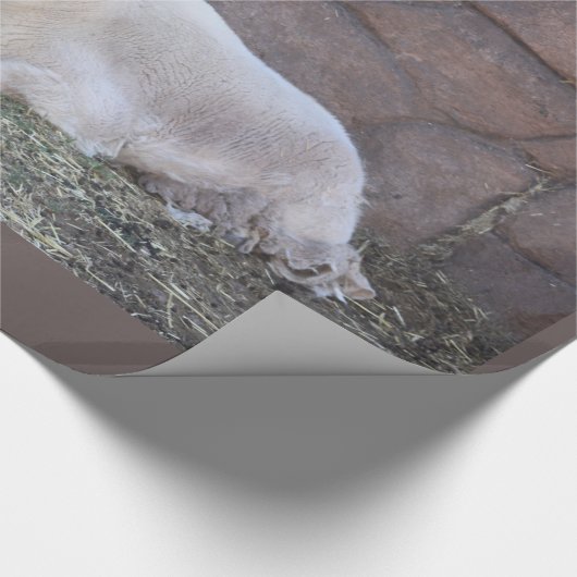 Geitenpakpapier Cadeaupapier (Hoek)