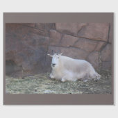 Geitenpakpapier Cadeaupapier (Vlak)