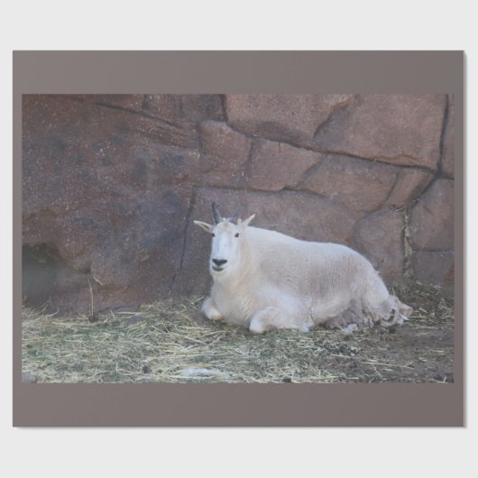 Geitenpakpapier Cadeaupapier (Vlak)