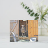 Geitenpost Kaart (Staand voorkant)