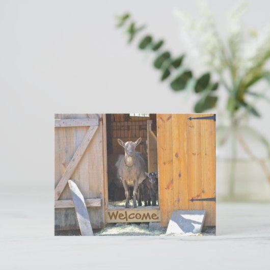 Geitenpost Kaart (Staand voorkant)