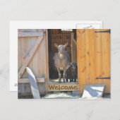 Geitenpost Kaart (Voorkant / Achterkant)