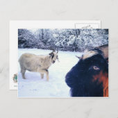 Geitenpower Briefkaart (Voorkant / Achterkant)