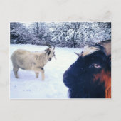 Geitenpower Briefkaart (Voorkant)