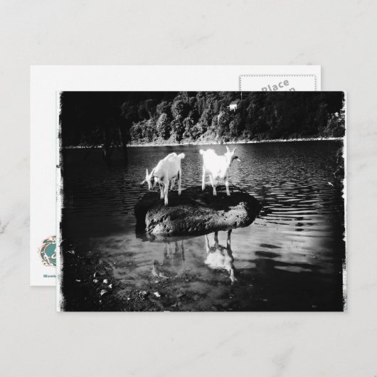 Geitenpower Briefkaart (Voorkant / Achterkant)