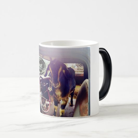 GeitenPower Morphing-Mok Magische Mok (Voorkant rechts)