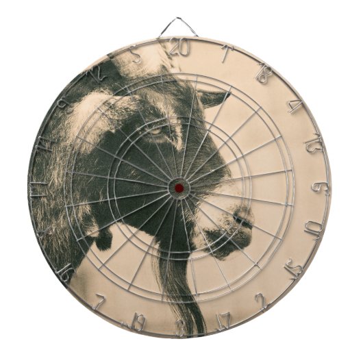 Geitenprofiel Dartbord (Voorkant)