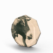 Geitenprofiel Fotoblokken (Rechts)