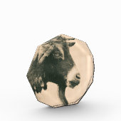 Geitenprofiel Fotoblokken (Links)