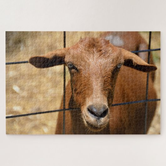 Geitenprofiel Legpuzzel (Horizontaal)