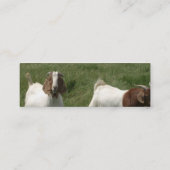 Geitenprofielkaart Mini Visitekaartje (Achterkant)