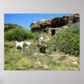 geitenretraite poster (Voorkant)