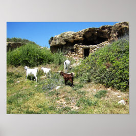 geitenretraite poster