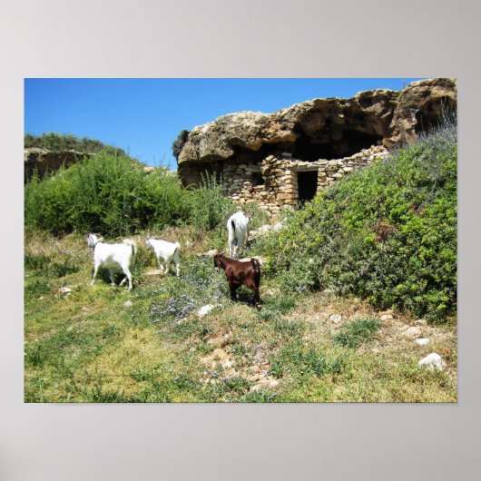 geitenretraite poster (Voorkant)