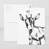 Geitenschets gezegde "Hej!" Briefkaart (Voorkant / Achterkant)