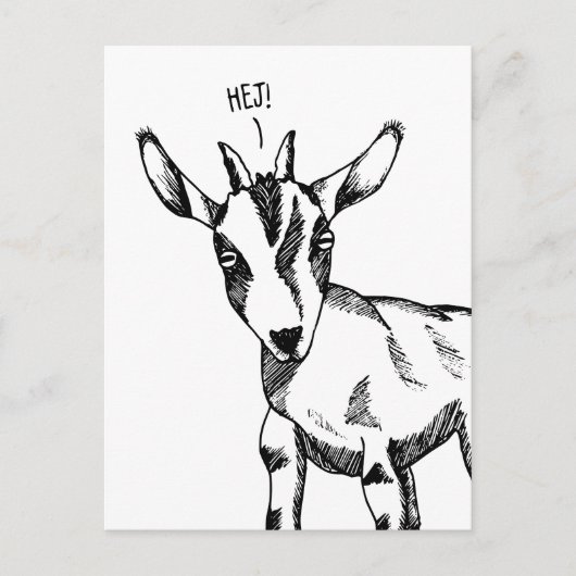 Geitenschets gezegde "Hej!" Briefkaart (Voorkant)