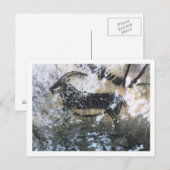 Geitenschilderij of Chamois, rotsschilderij in de  Briefkaart (Voorkant / Achterkant)