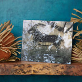Geitenschilderij of Chamois, rotsschilderij in de  Fotoplaat (Zijkant)