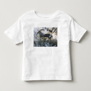 Geitenschilderij of Chamois, rotsschilderij in de  Kinder Shirts