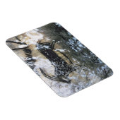 Geitenschilderij of Chamois, rotsschilderij in de  Magneet (Rechterzijde)