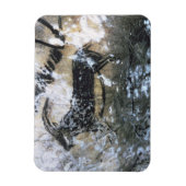 Geitenschilderij of Chamois, rotsschilderij in de  Magneet (Verticaal)