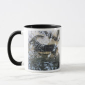 Geitenschilderij of Chamois, rotsschilderij in de  Mok (Links)