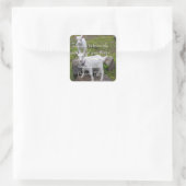 Geitenschrift Sticker (Tas)