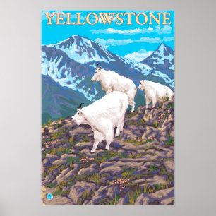 Geitensecène in het gebergte - Nationaal Park Yell Poster