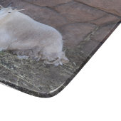 Geitensnijraad Snijplank (Hoek)