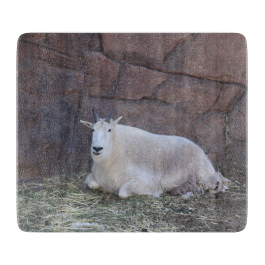 Geitensnijraad Snijplank (Voorkant)