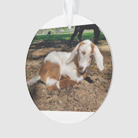 Geitensornament 2 afbeeldingen ornament (voorkant)