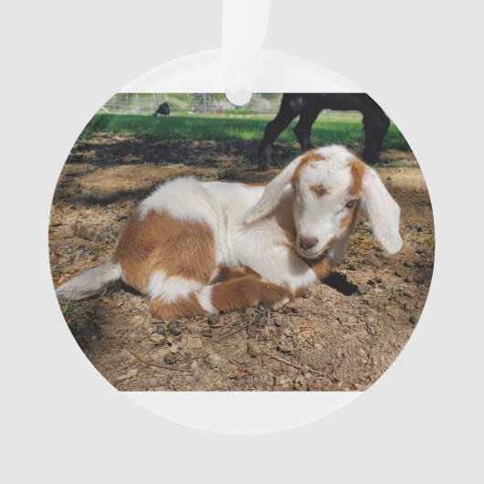 Geitensornament 2 afbeeldingen ornament (voorkant)