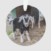 Geitensornament 2 afbeeldingen ornament (voorkant)