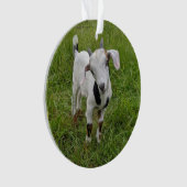 Geitensornament 2 afbeeldingen ornament (voorkant)