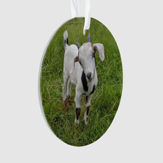 Geitensornament 2 afbeeldingen ornament (voorkant)