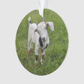 Geitensornament 2 afbeeldingen ornament (voorkant)