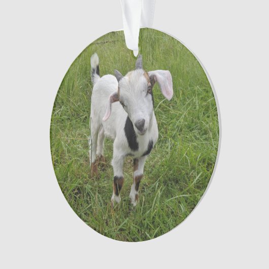 Geitensornament 2 afbeeldingen ornament (voorkant)