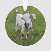 Geitensornament 2 afbeeldingen ornament (voorkant)