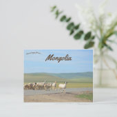Geitenstapel in Mongolië Briefkaart (Staand voorkant)